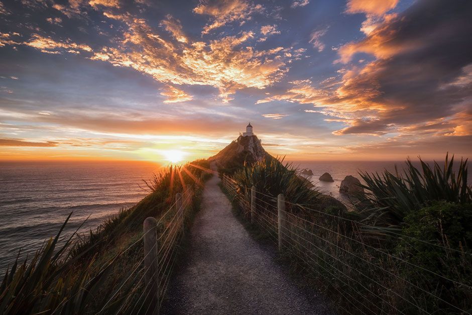 Soft sunrise glow across a calm coastal walking path in New Zealand for Purgingypurify rhythm prompts